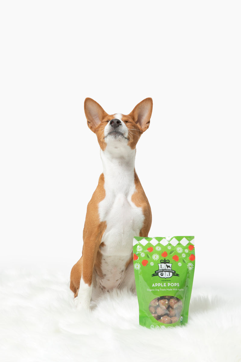 Lord Jameson Apple Pops Organic Soft & Chewy Dog Treats 6oz