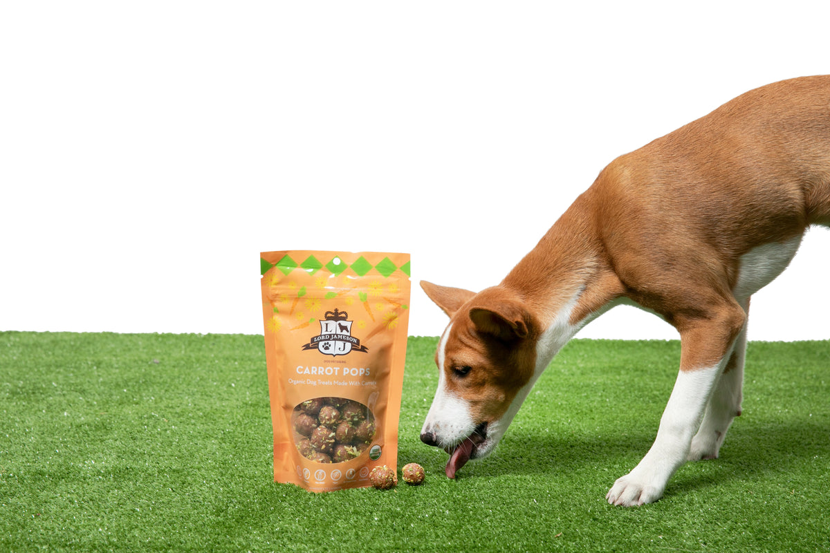 Lord Jameson Carrot Pops Organic Soft & Chewy Dog Treats 6oz