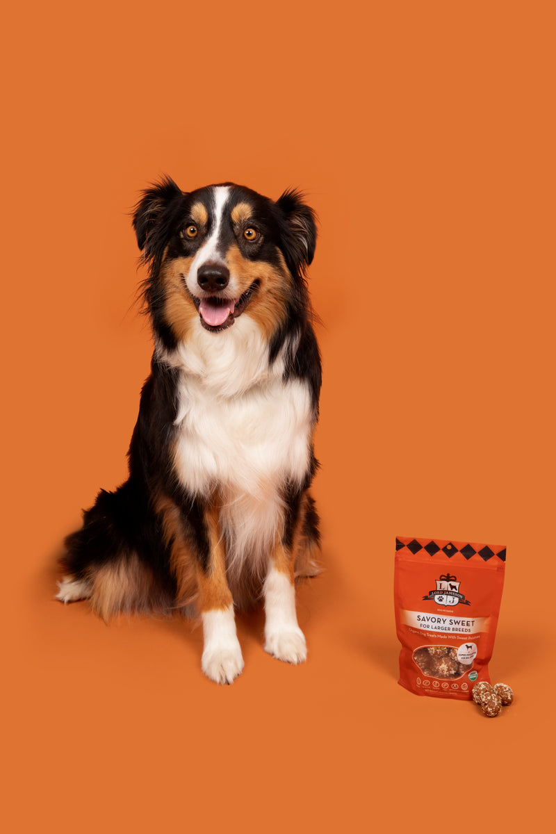 Lord Jameson Savory Sweet Organic Soft & Chewy Dog Treats 6oz