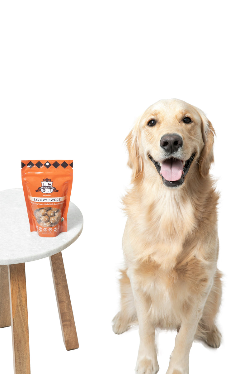 Lord Jameson Savory Sweet Organic Soft & Chewy Dog Treats 6oz