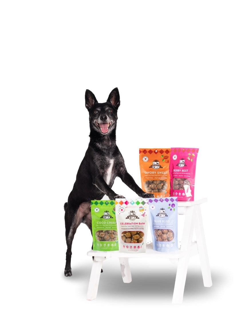 Lord Jameson Celebration Bash Organic Soft & Chewy Dog Treats 6oz