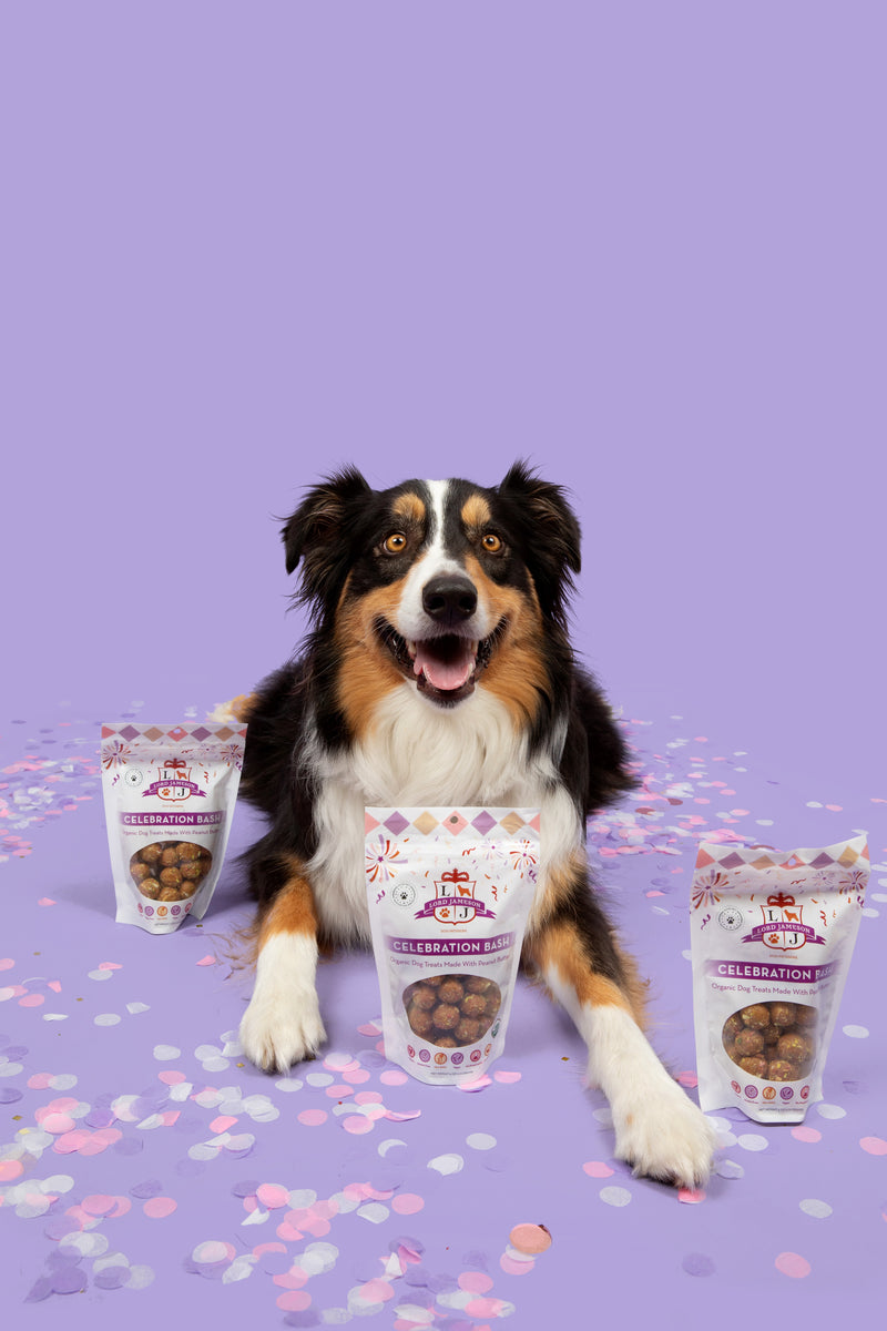 Lord Jameson Celebration Bash Organic Soft & Chewy Dog Treats 6oz