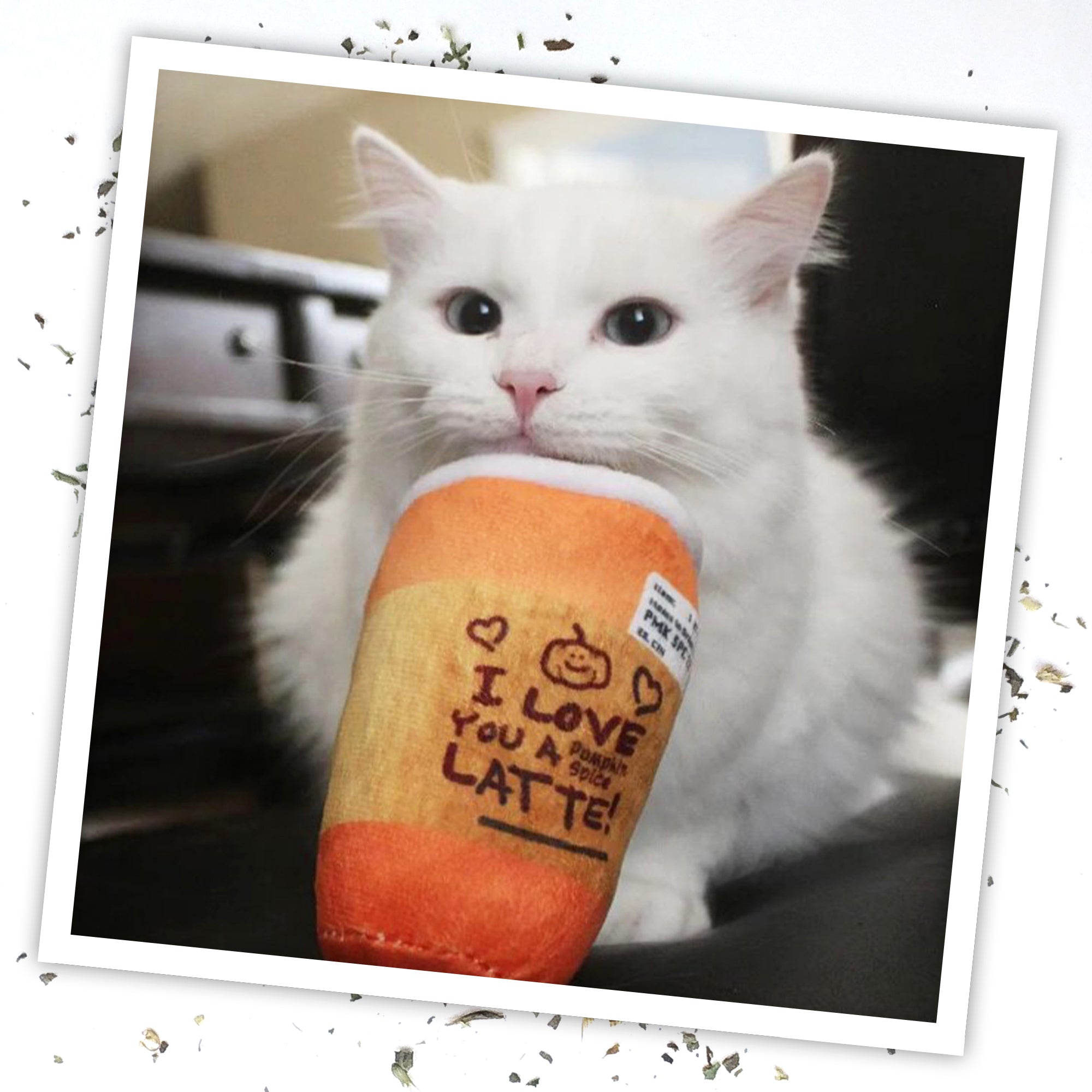 Meowijuana "Get Spooked" - Spiced Latte Fillable Catnip Toy