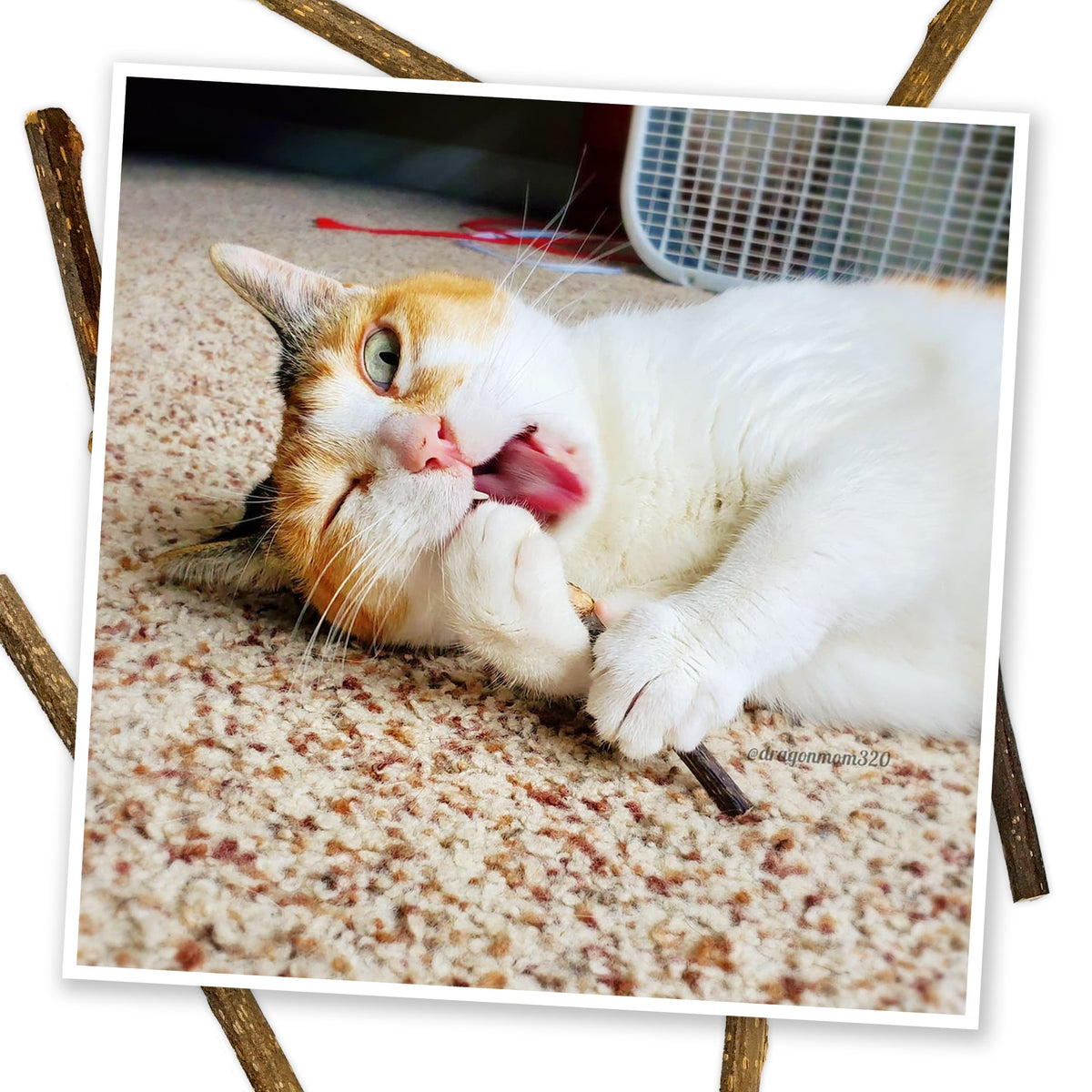 Meowijuana Silvervine Stick 6 pack