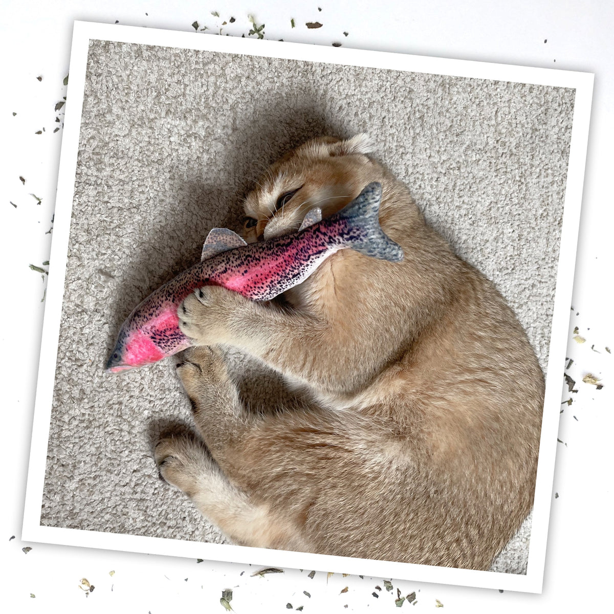 Meowijuana Get Smoked Fish Cat Toy