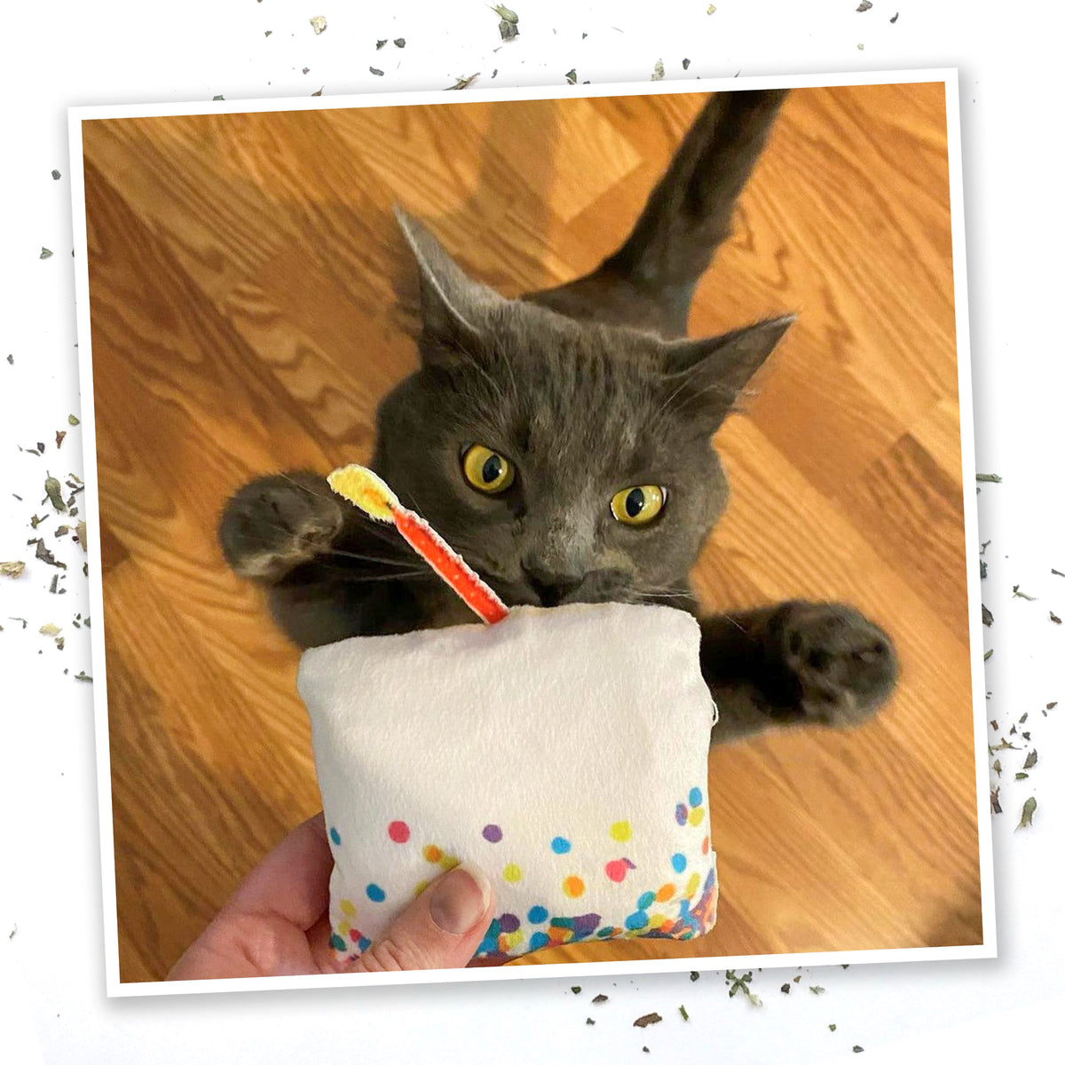Meowijuana Get Lit Birthday Cake Cat Toy