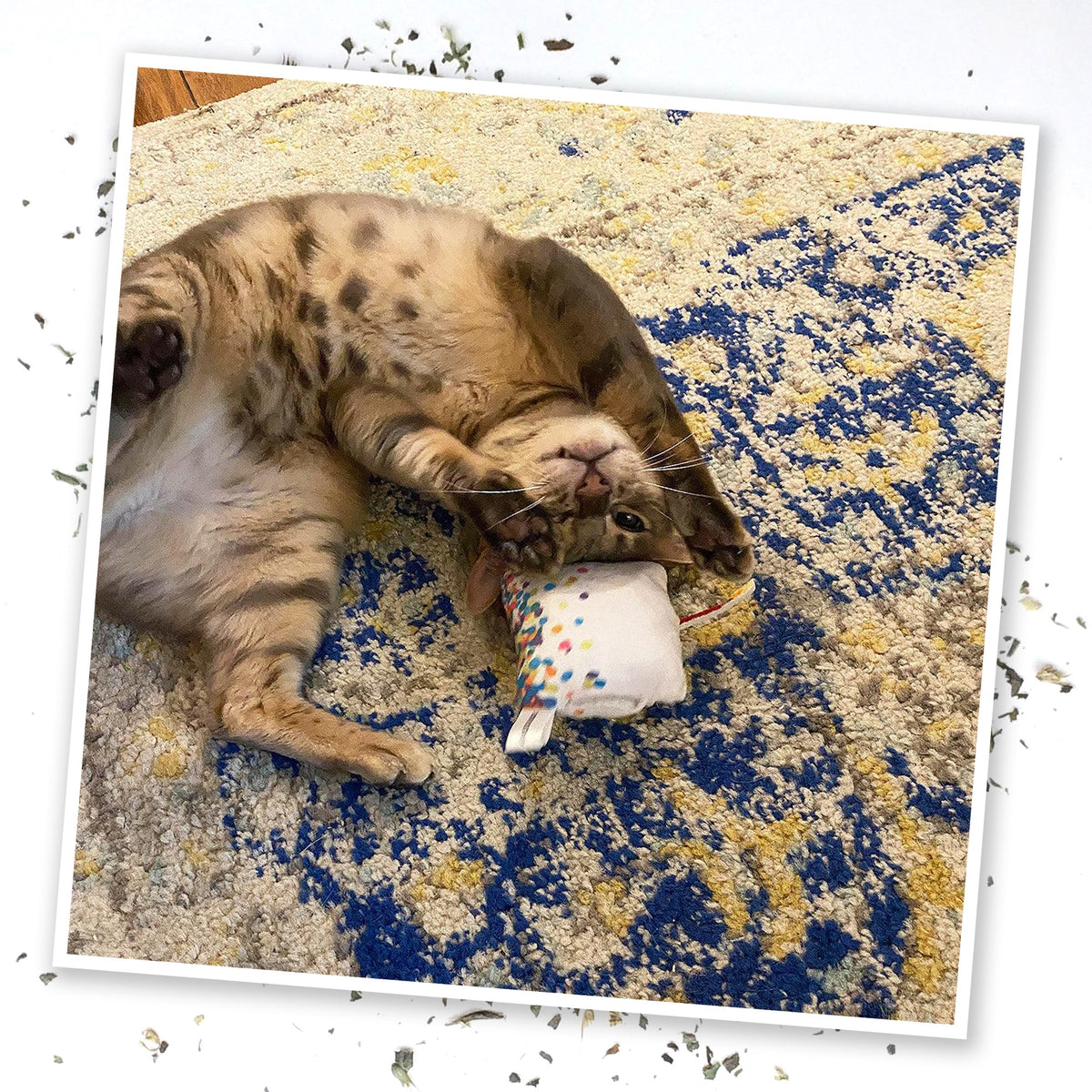 Meowijuana Get Lit Birthday Cake Cat Toy