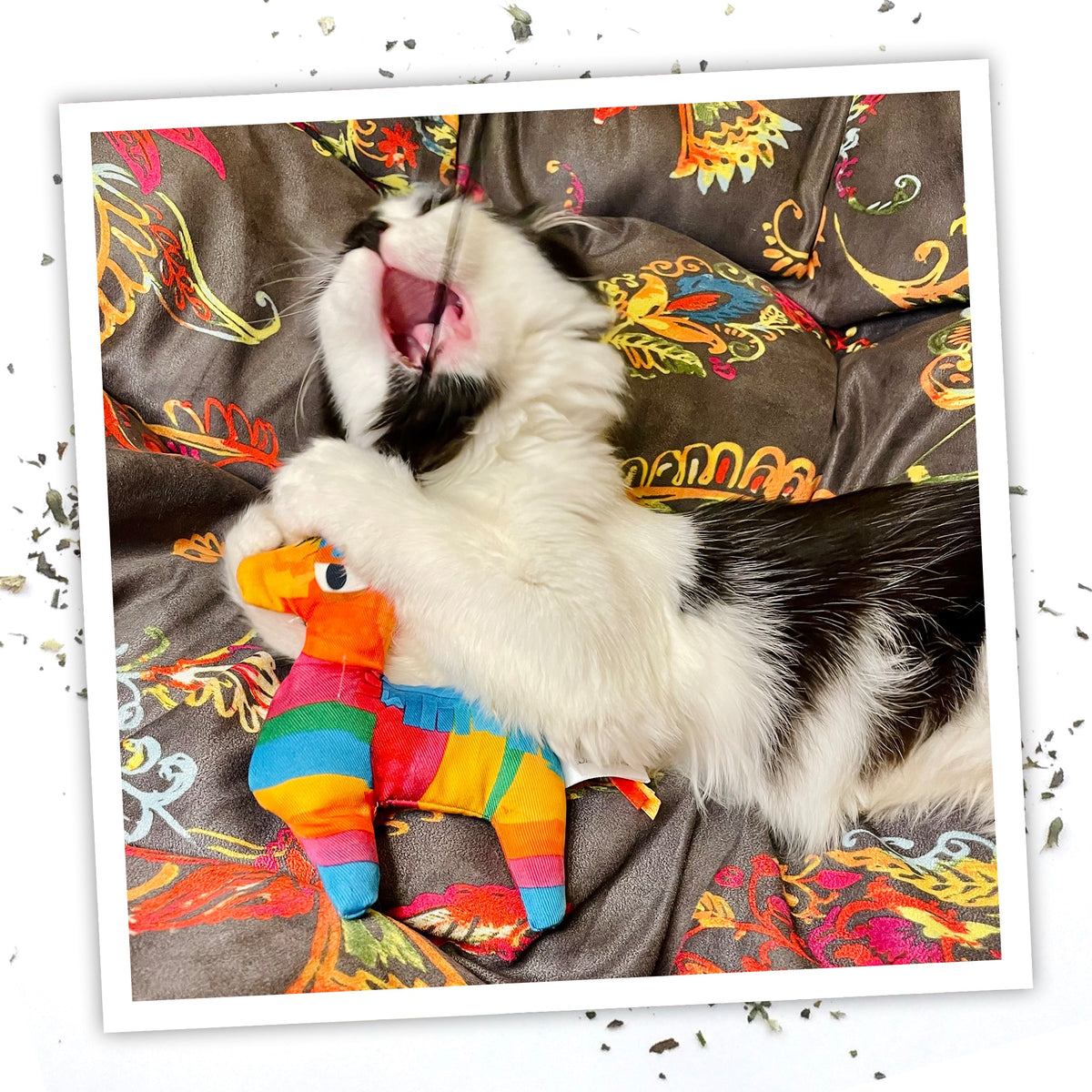 Meowijuana Get Smashed Pinata w/Wand Cat Toy