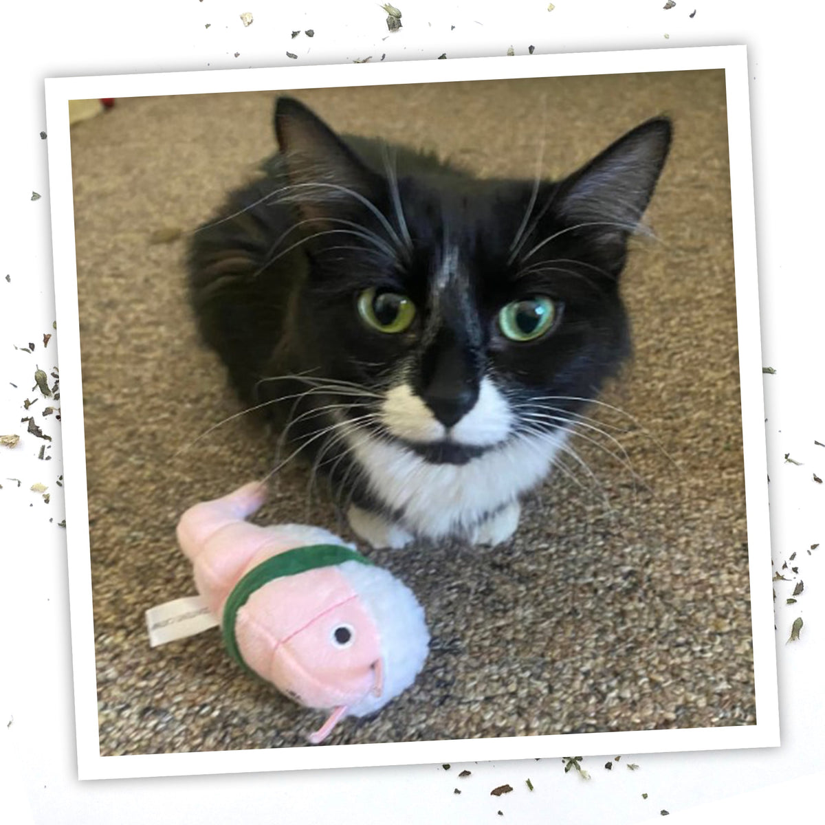 Meowijuana Get Wrapped Sushi Roll Cat Toy