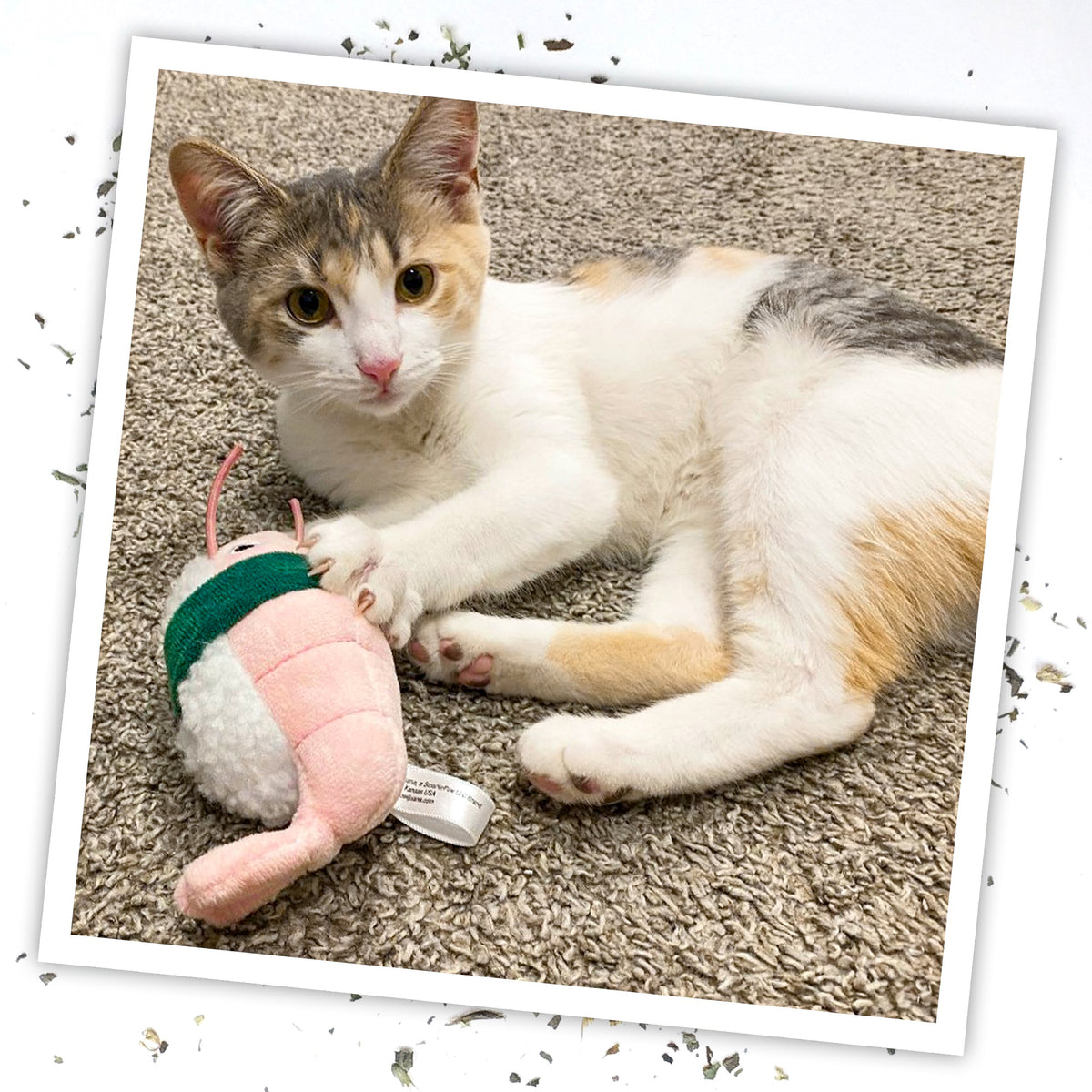 Meowijuana Get Wrapped Sushi Roll Cat Toy