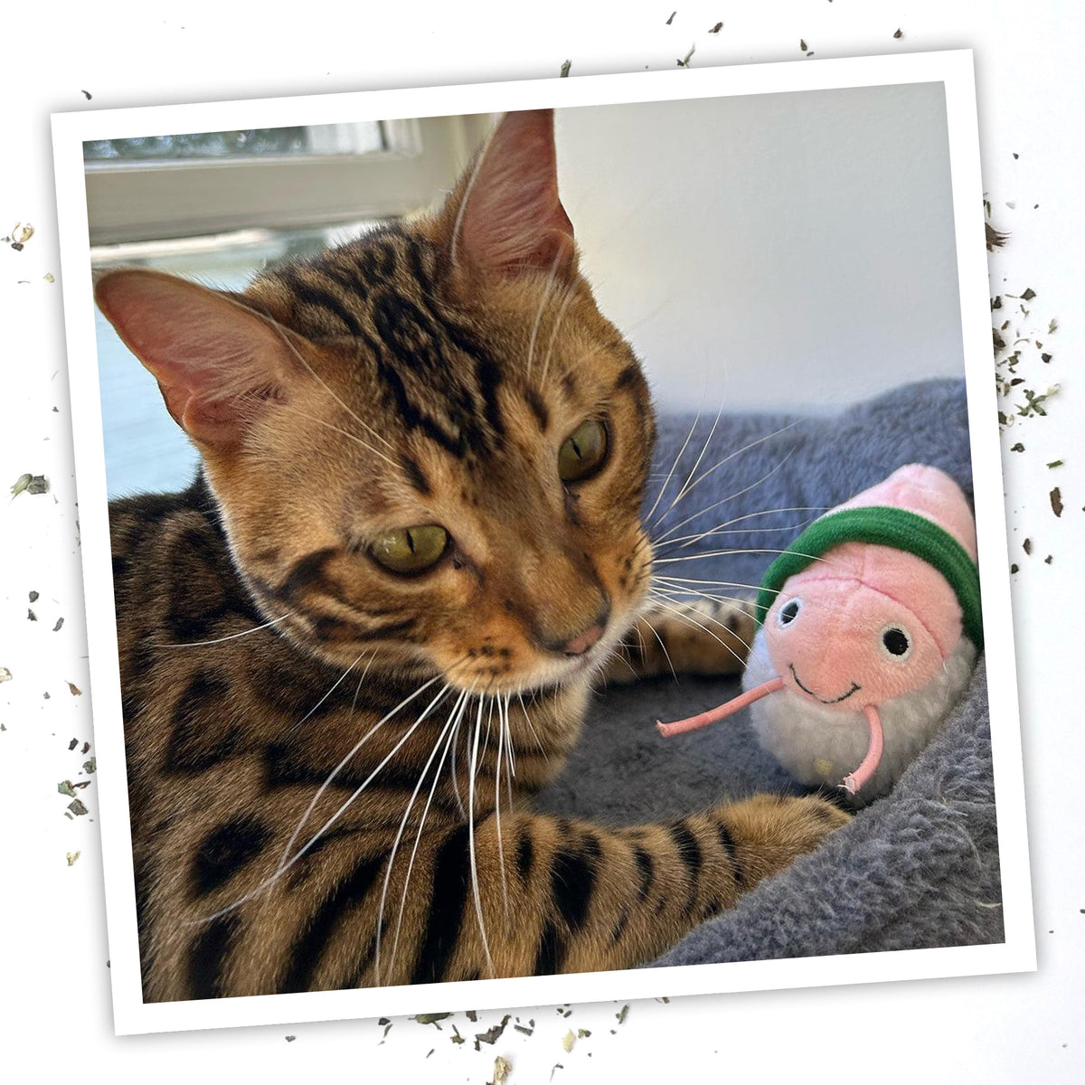 Meowijuana Get Wrapped Sushi Roll Cat Toy