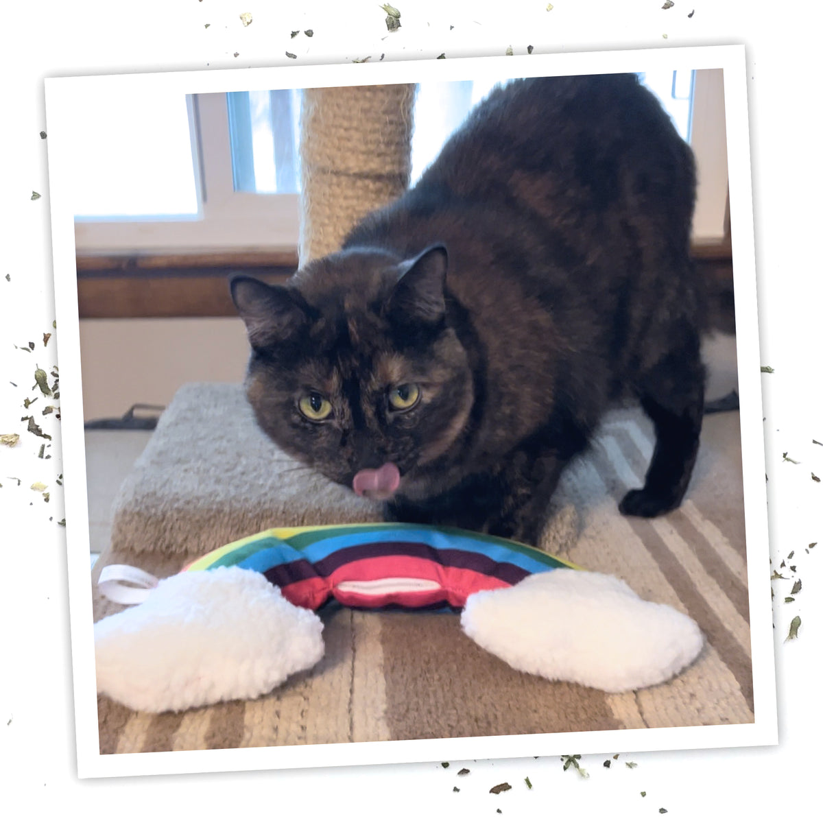 Meowijuana Get "Kickin'" - Rainbow Kicker Cat Toy