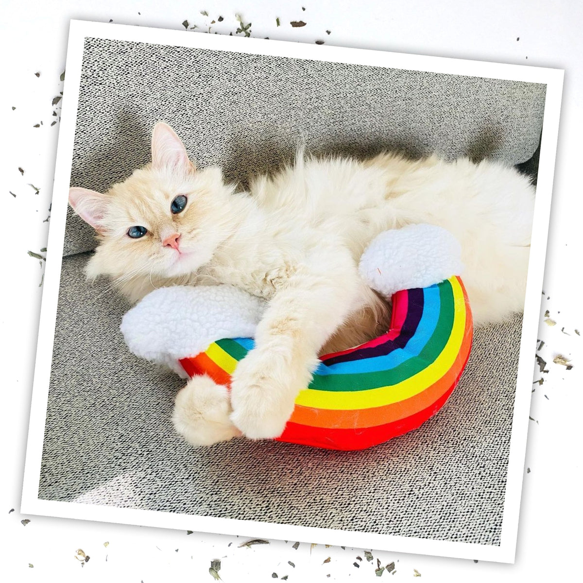 Meowijuana Get "Kickin'" - Rainbow Kicker Cat Toy