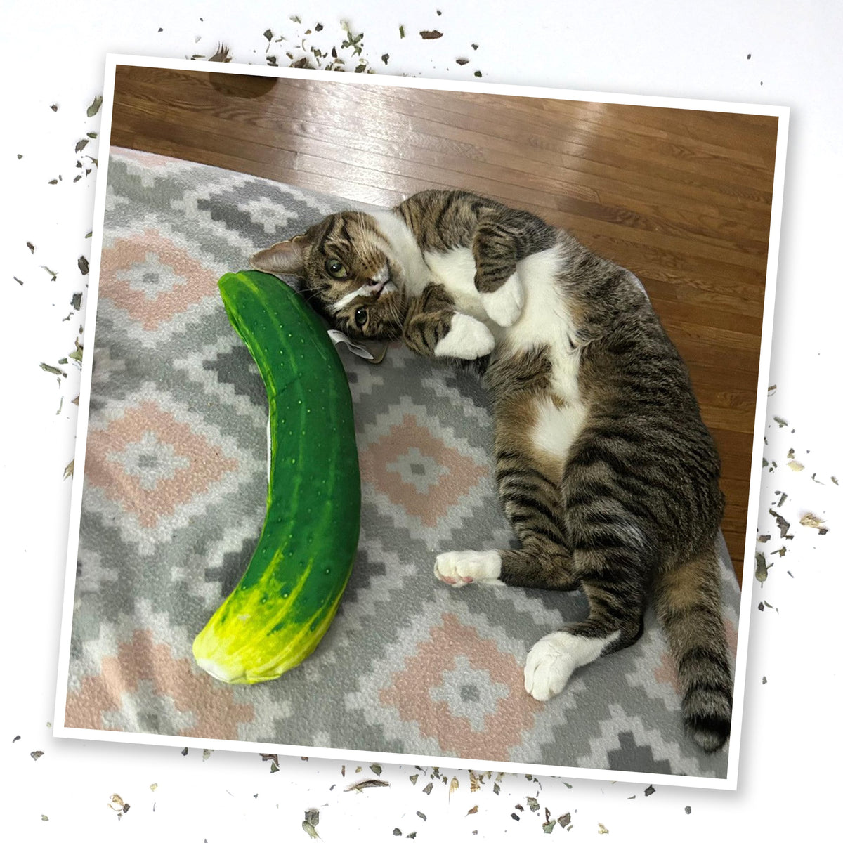 Meowijuana Get Kickin Spicy Pickle Kicker Cat Toy