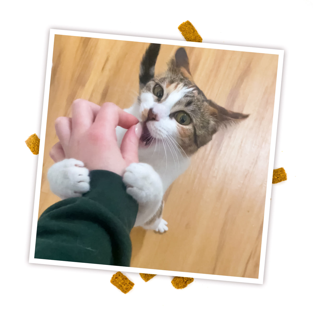 Meowijuana Crunchie Munchie Chicken Cat Treat 3oz