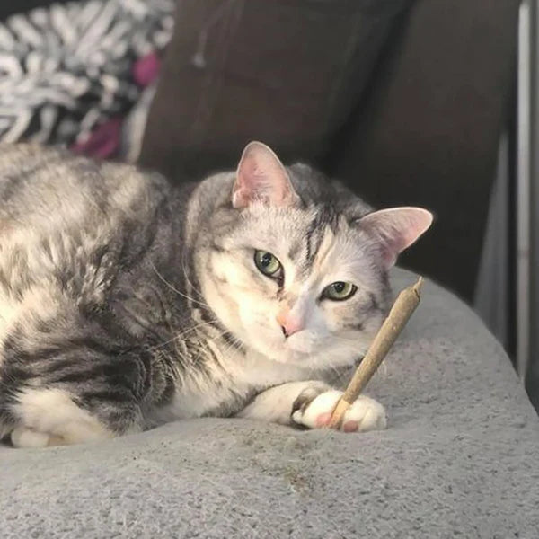 Meowijuana King Catnibas Rollies