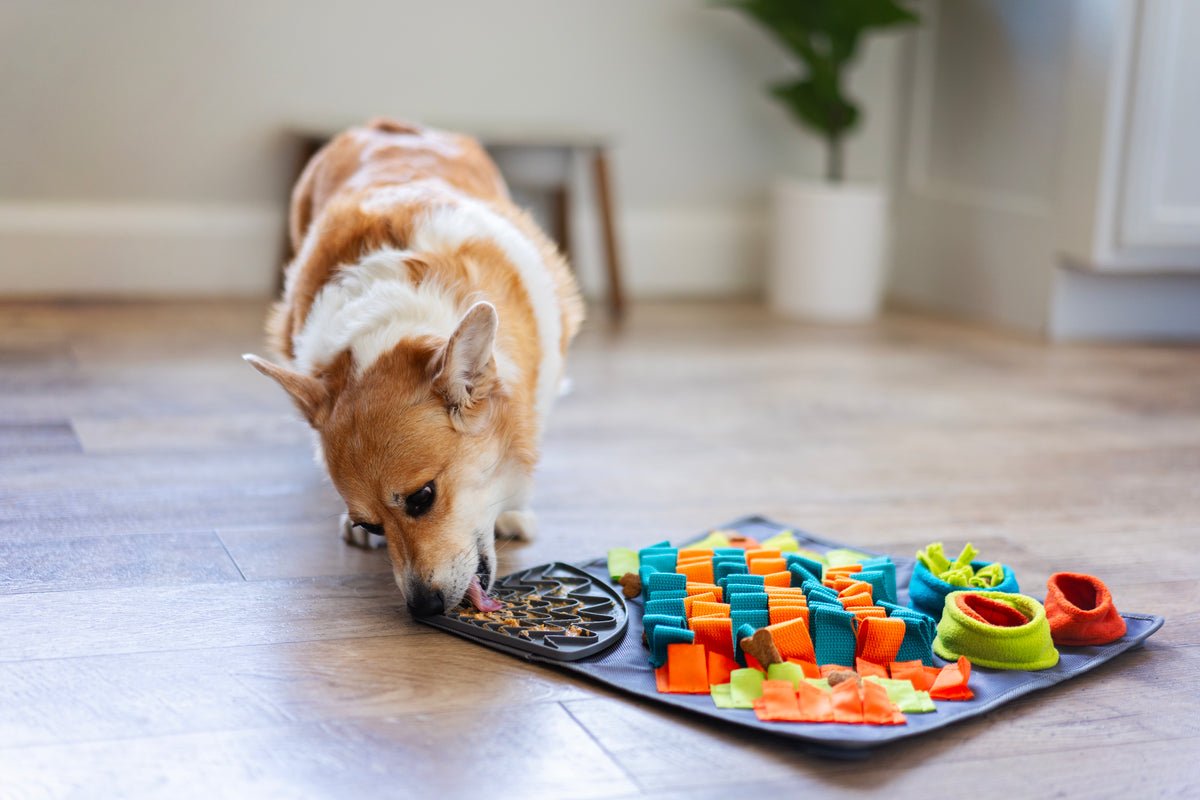 Messy Mutts Square Forage/Snuffle Mat 16" with Suction