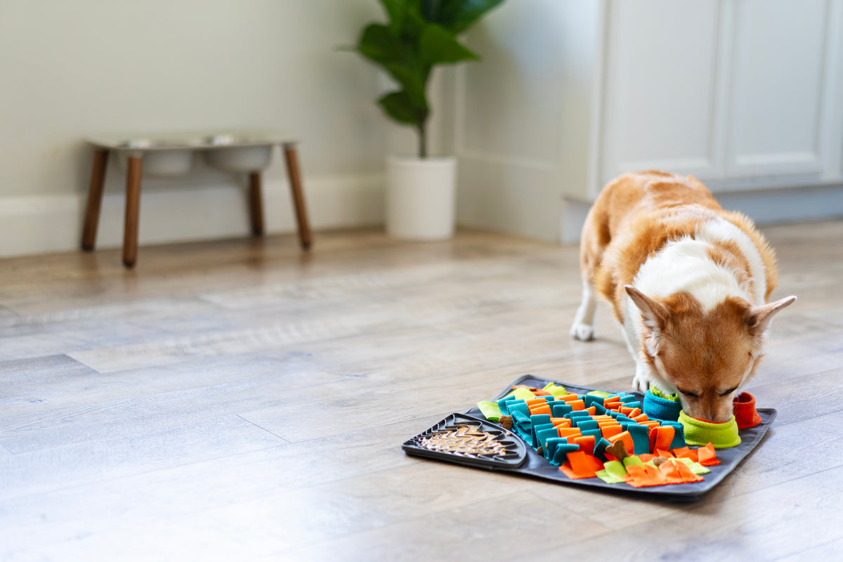 Messy Mutts Square Forage/Snuffle Mat 16" with Suction