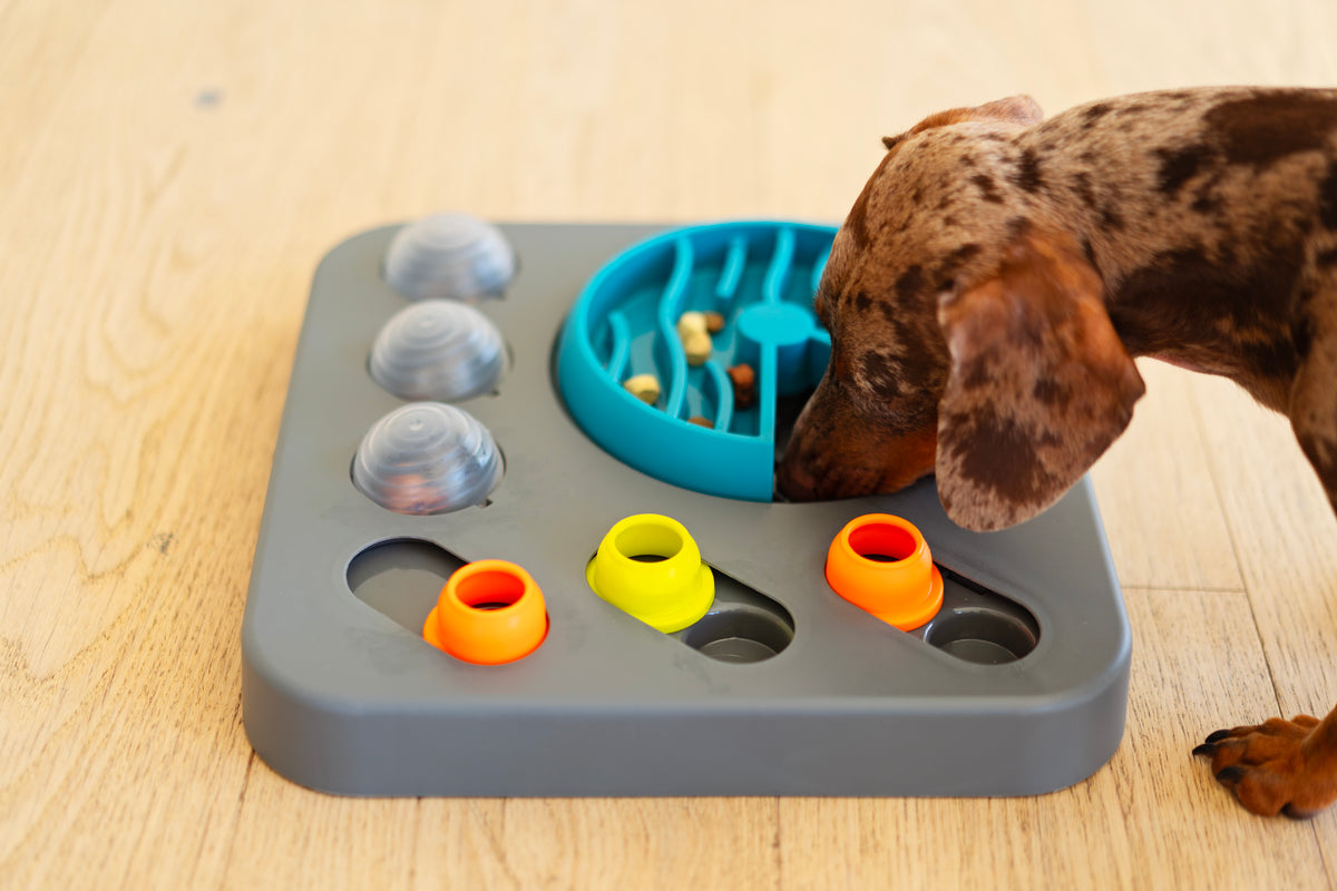 Messy Mutts Flip'n Slide Puzzler, Medium, 12.5" x 12.5", Grey