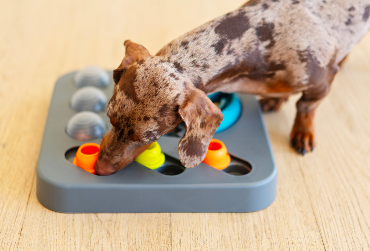 Messy Mutts Flip'n Slide Puzzler, Medium, 12.5" x 12.5", Grey