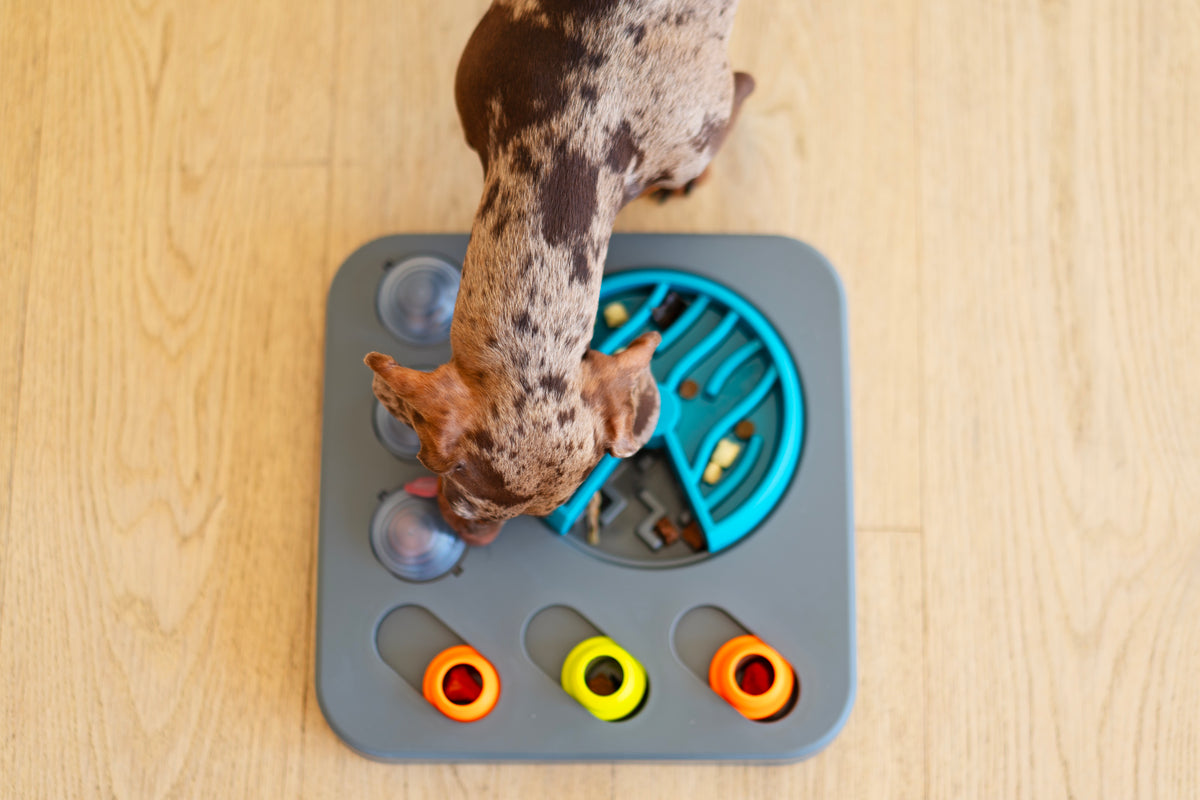 Messy Mutts Flip'n Slide Puzzler, Medium, 12.5" x 12.5", Grey