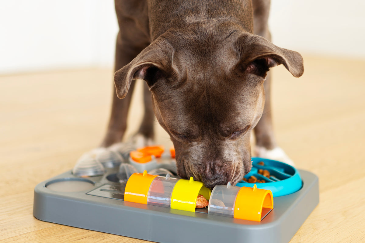 Messy Mutts Flip'n Slide Puzzler, Large, 16.5" x 13", Grey