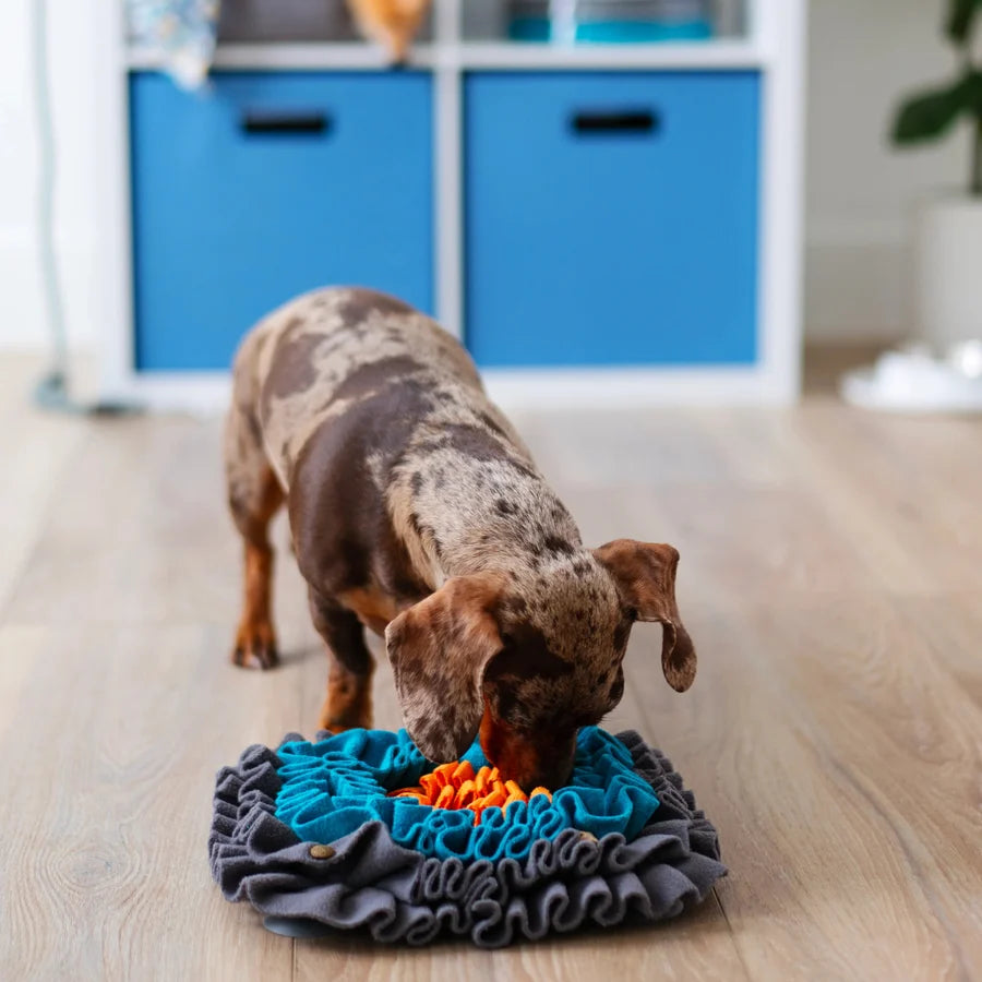 Messy Mutts Square Forage Mat, Small, 11" x 11" x 1.6", Various Colours