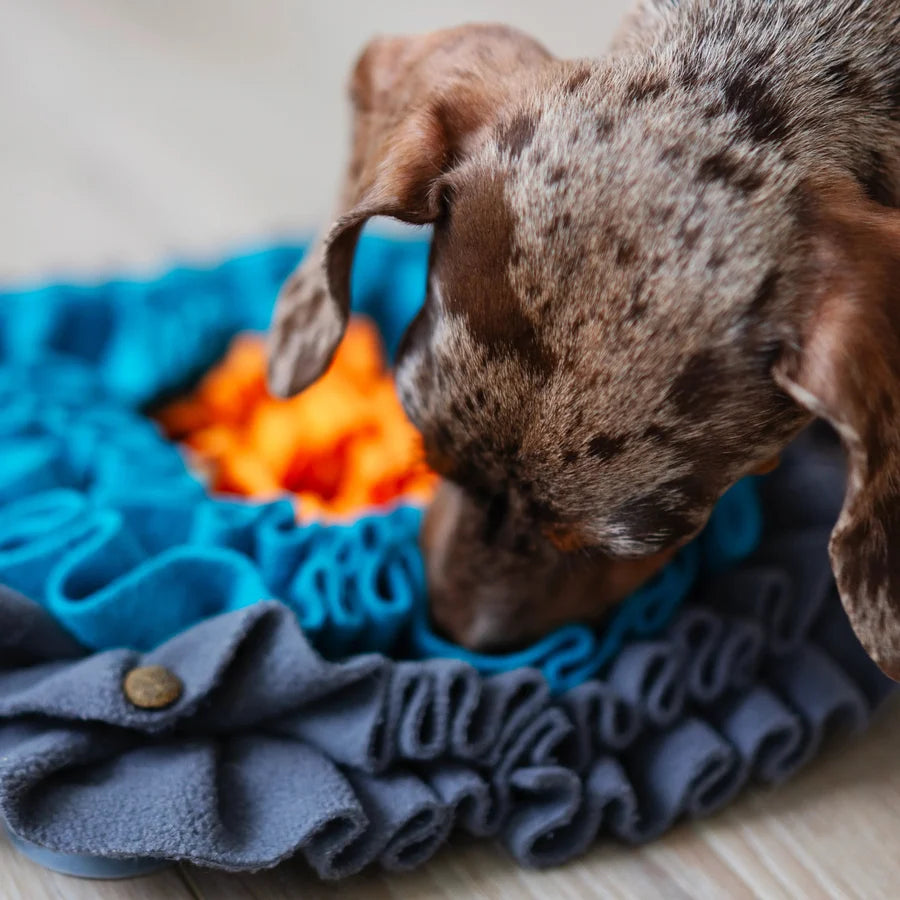 Messy Mutts Square Forage Mat, Small, 11" x 11" x 1.6", Various Colours