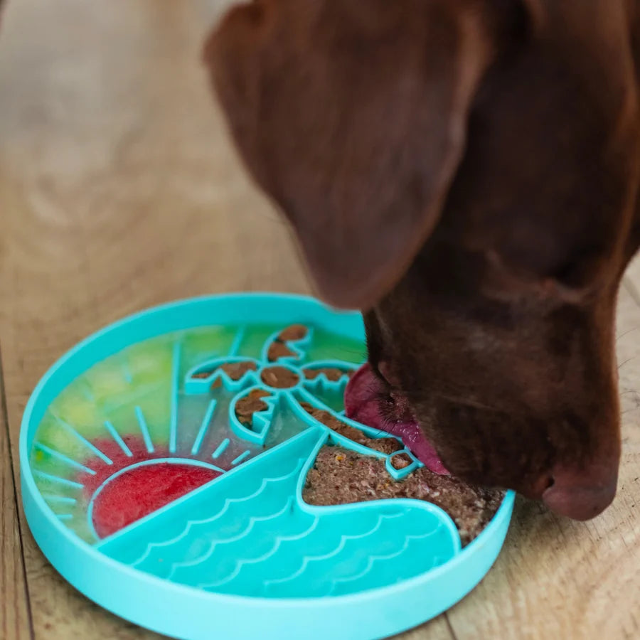 Messy Mutts Silicone Interactive Lick Bowl, Beach Pattern, Teal