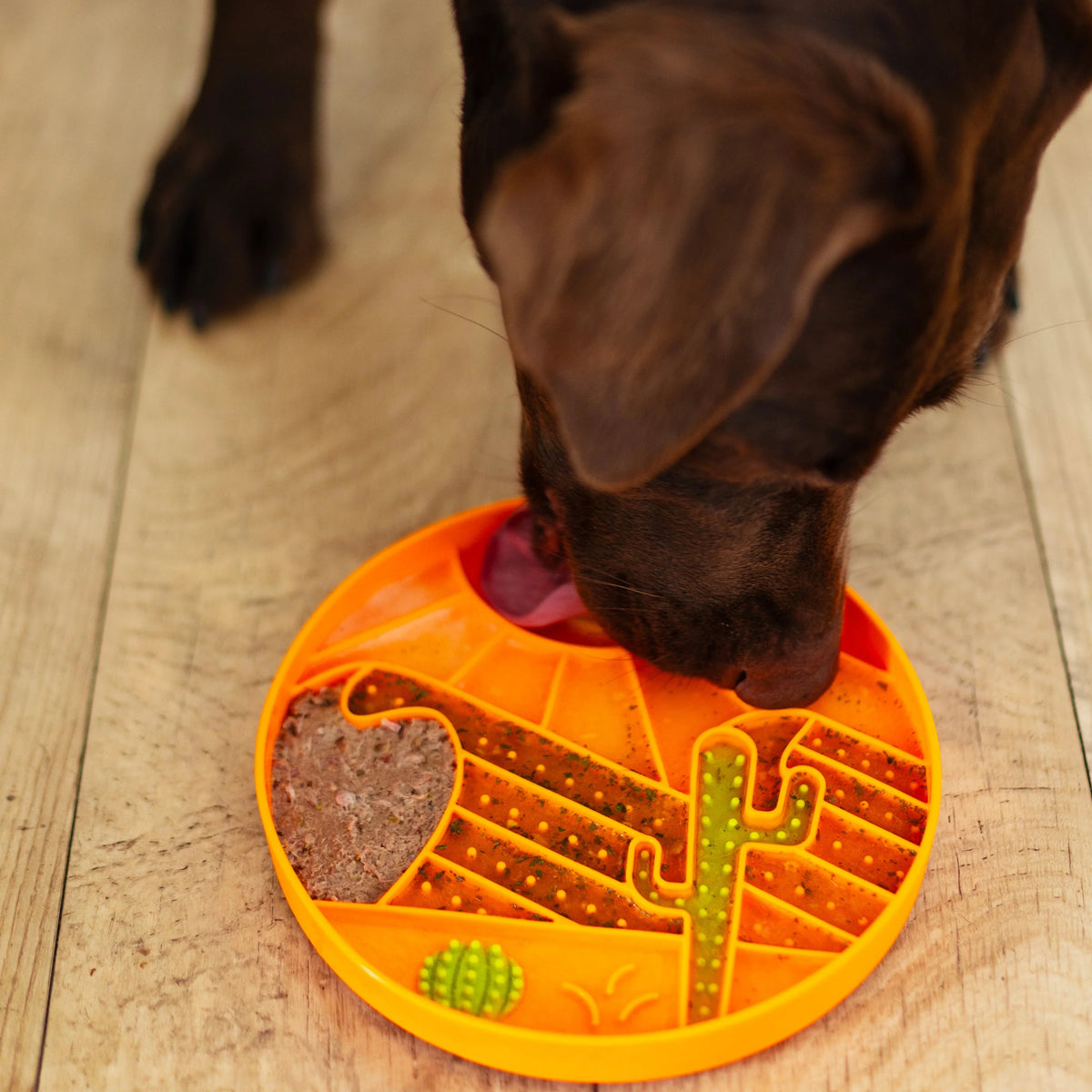 Messy Mutts Silicone Interactive Lick Bowl, Desert Pattern, Orange
