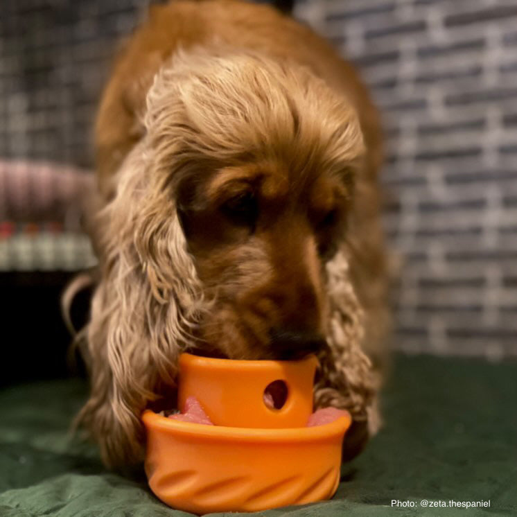 Totally Pooched Puzzle 'n Play Mushroom, Small, 3" x 2.5", Orange