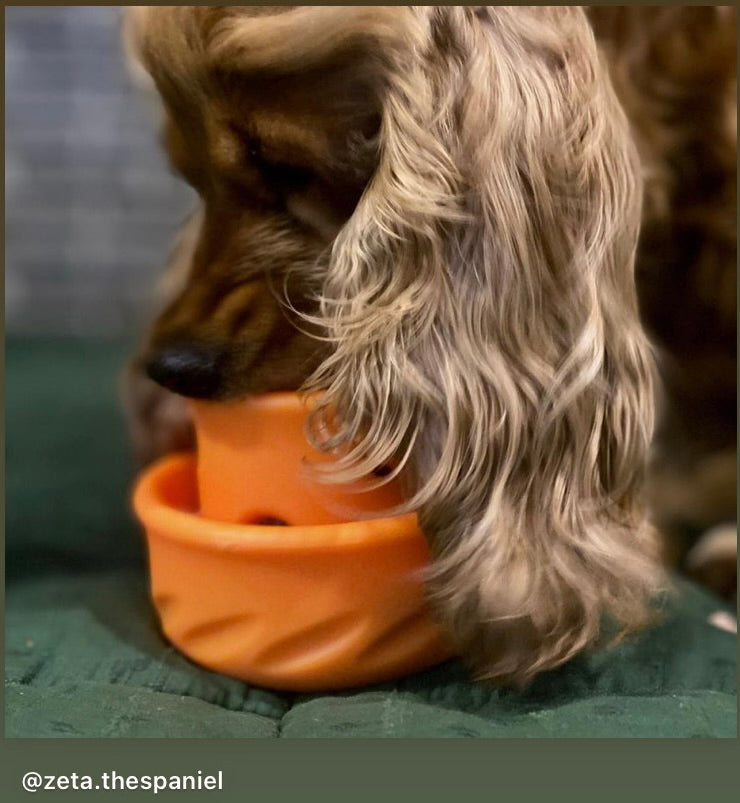 Totally Pooched Puzzle 'n Play Mushroom, Small, 3" x 2.5", Orange