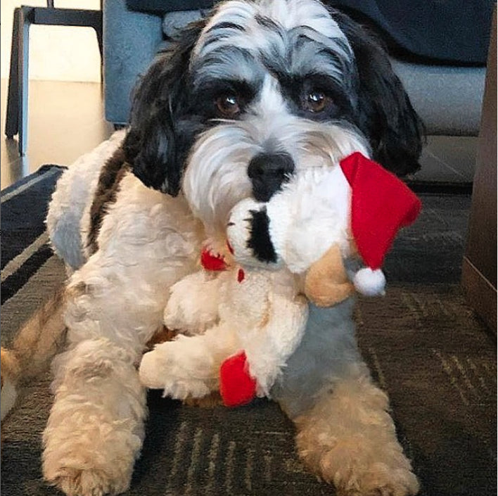 Multipet Holiday Lamb Chop w/ Santa Hat Assorted 10.5"