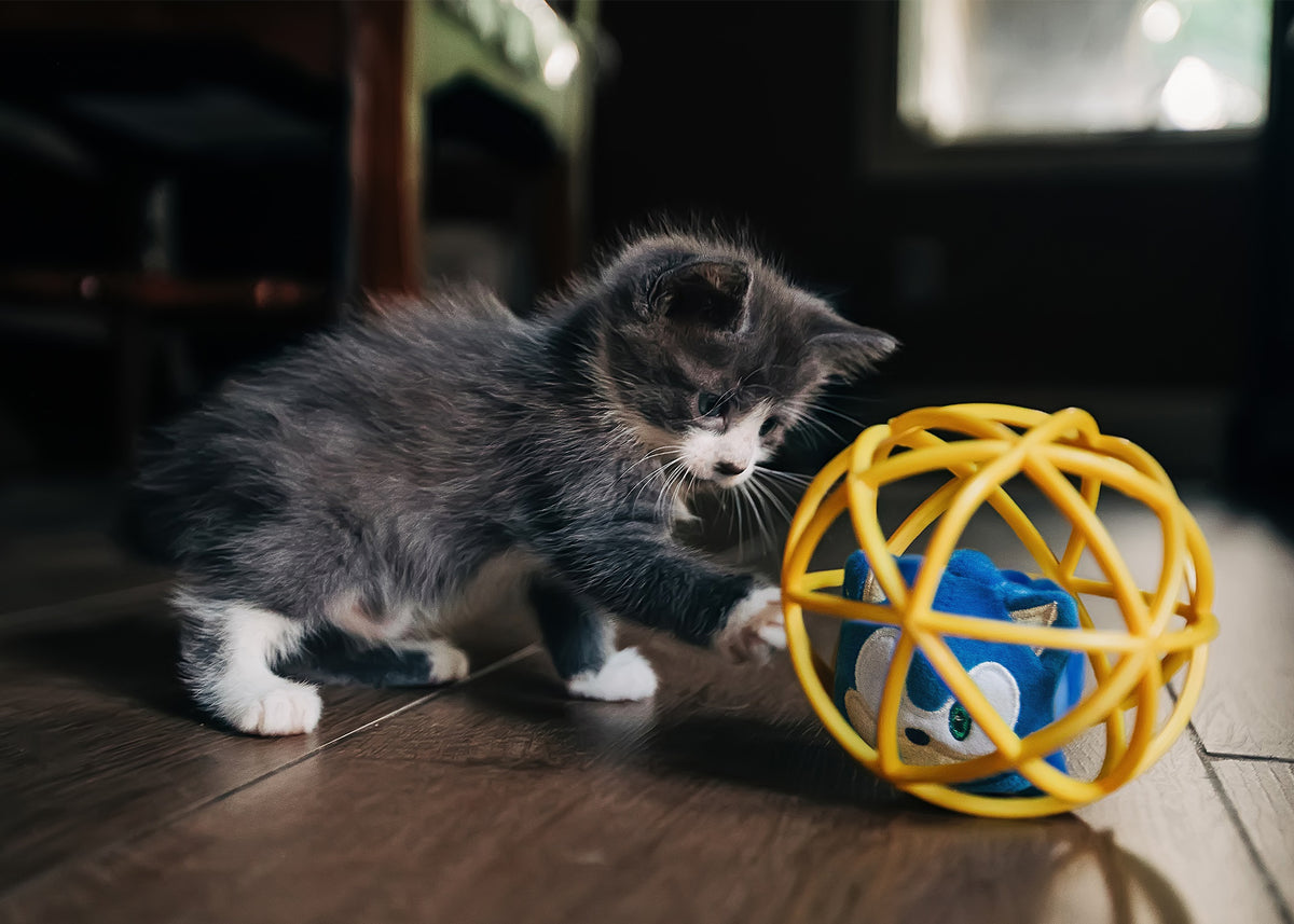Multipet Sega Sonic Cage Ball Cat Toy