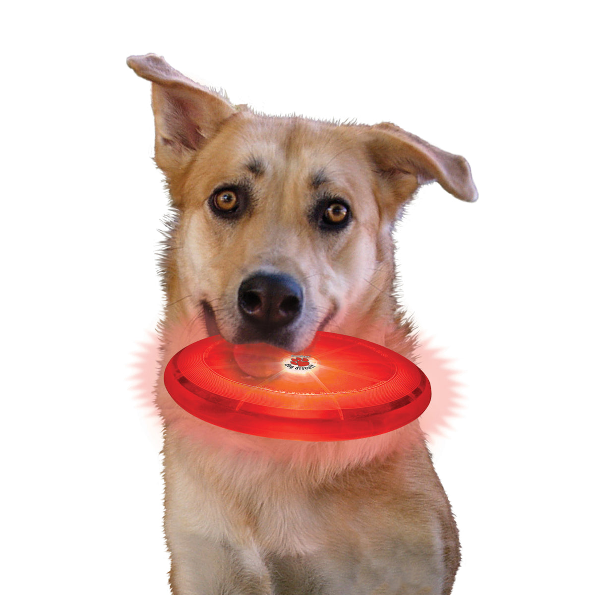 Nite Ize Flashflight Dog Discuit LED Flying Disc - Disc-O