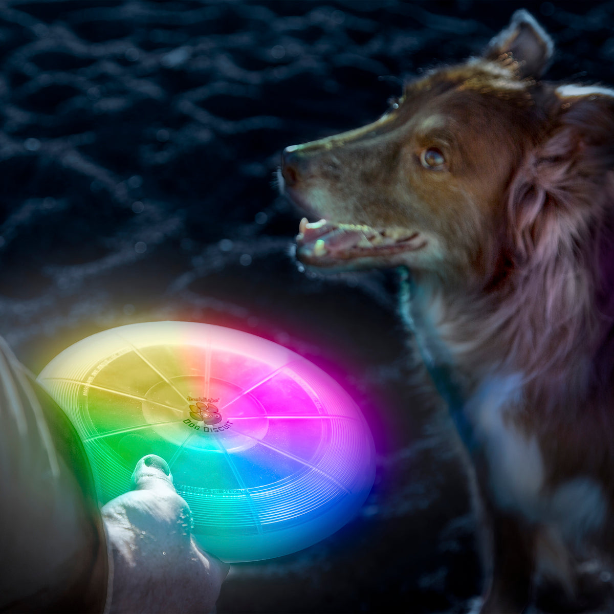 Nite Ize Flashflight Dog Discuit LED Flying Disc - Disc-O