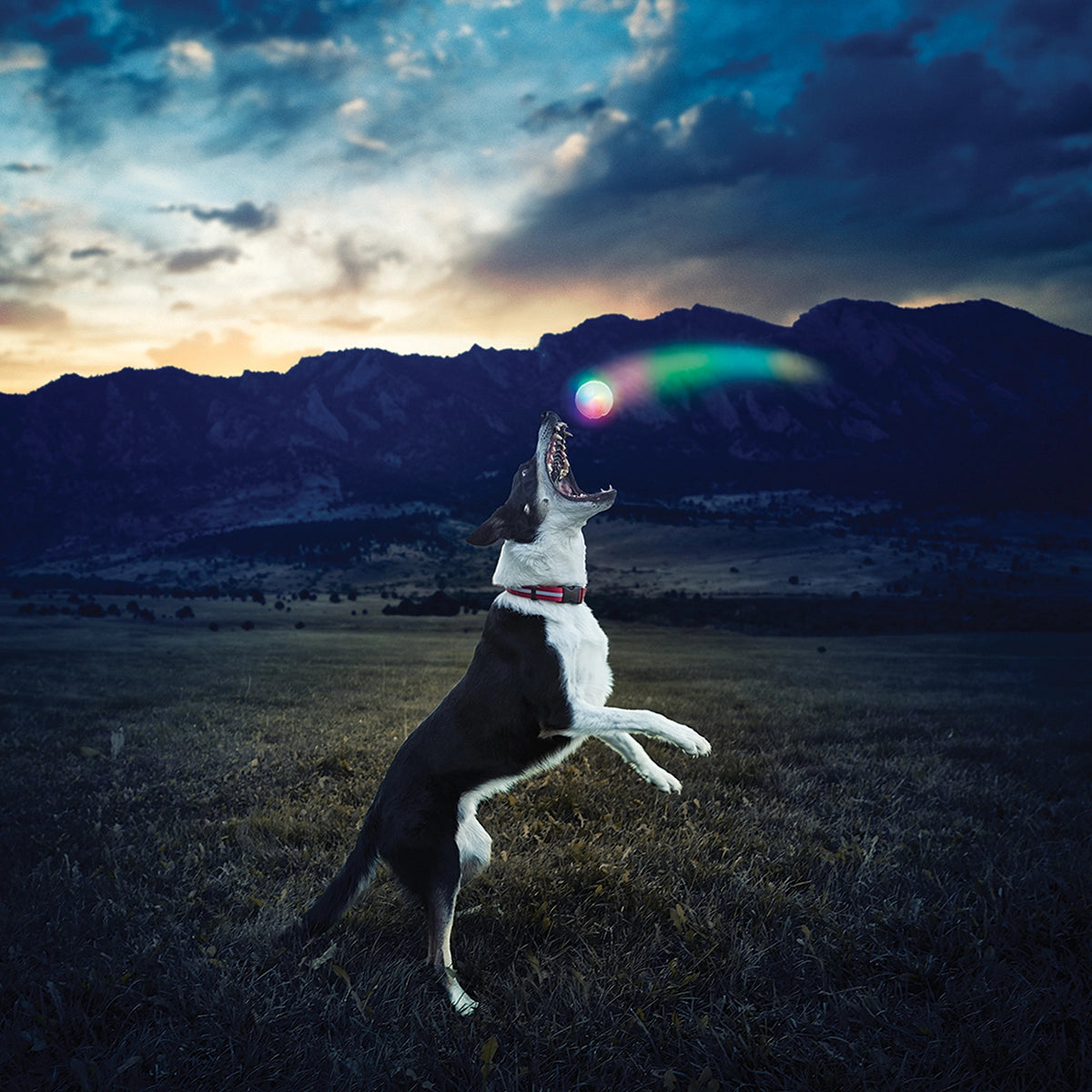 Nite Ize GlowStreak LED Ball - Disc-O