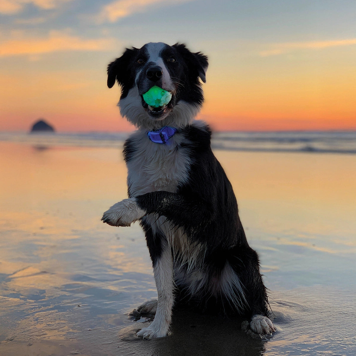 Nite Ize GlowStreak LED Ball - Disc-O