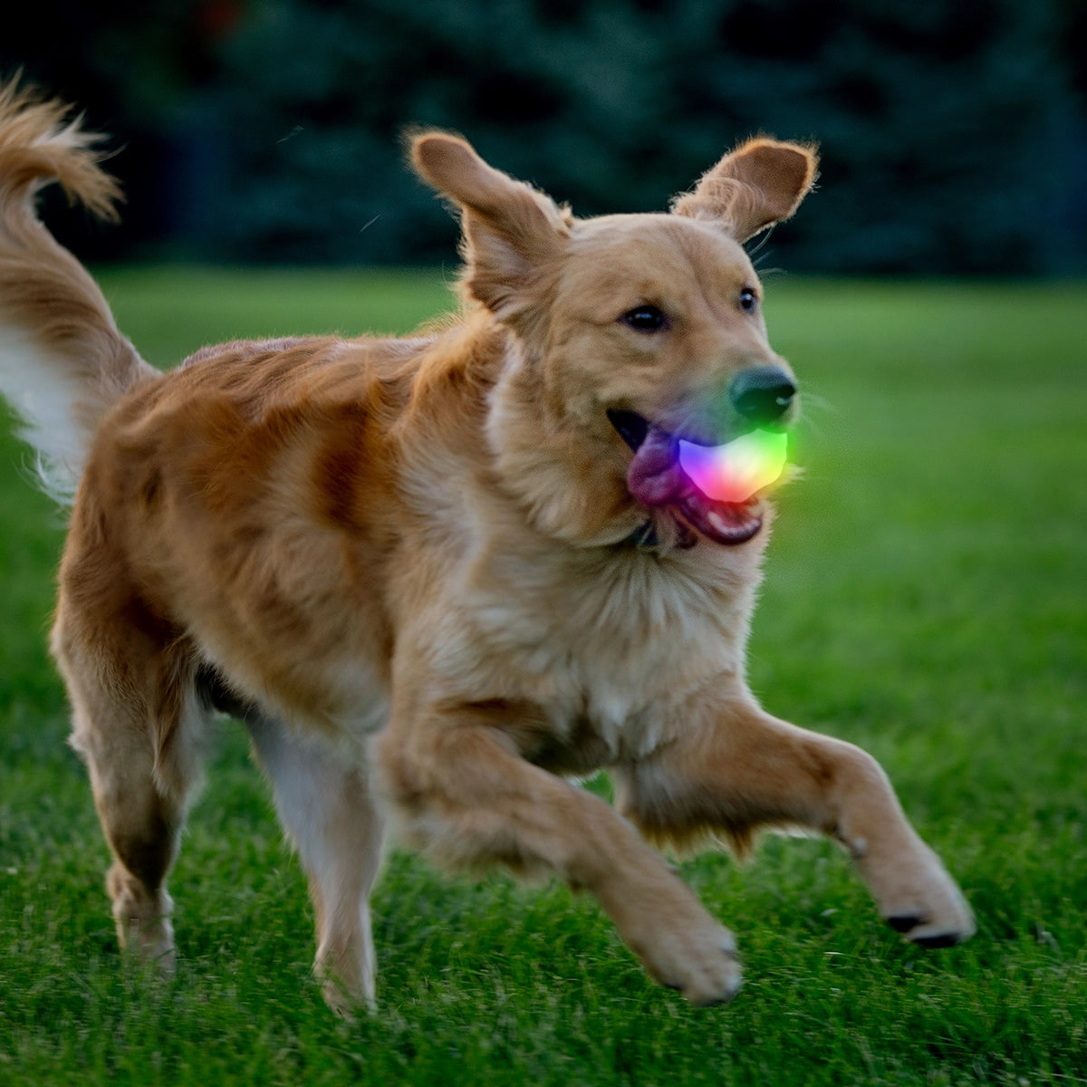 Nite Ize GlowStreak® Wild™ LED Ball - Disc-O