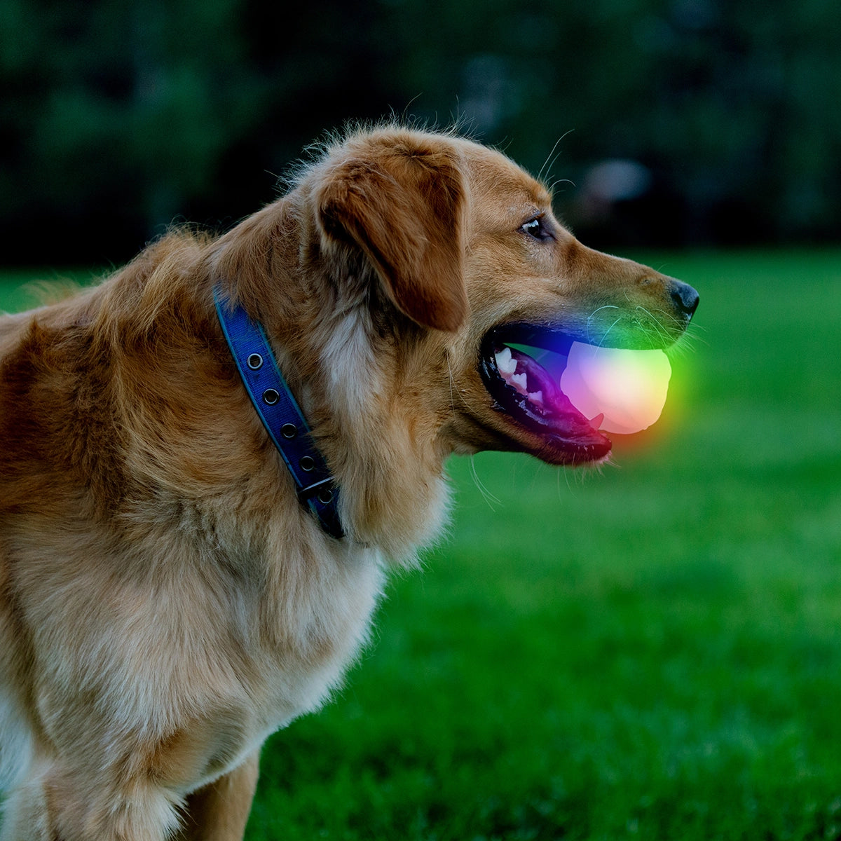 Nite Ize GlowStreak® Wild™ LED Ball - Disc-O