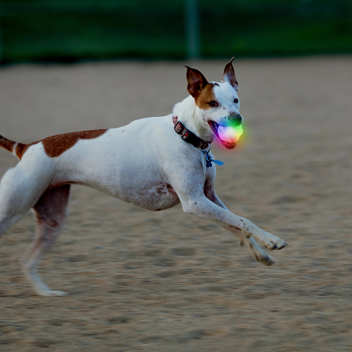 Nite Ize GlowStreak® Wild™ LED Ball - Disc-O