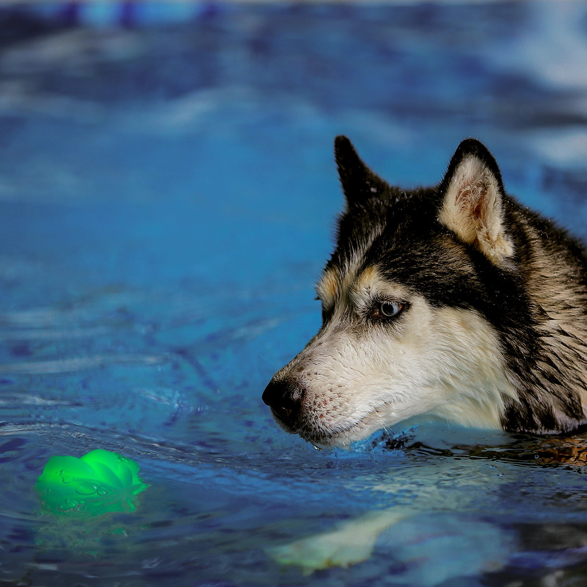 Nite Ize GlowStreak® Wild™ LED Ball - Disc-O