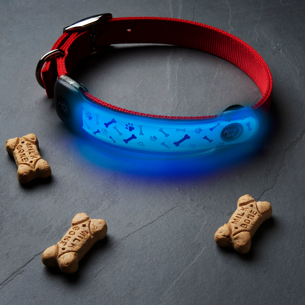 Nite Ize NiteDog® Rechargeable LED Collar Cover - Disc-O Select™