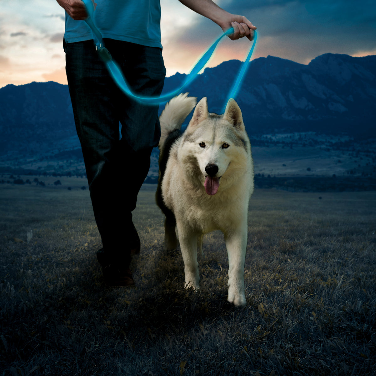 Nite Ize NiteDog Rechargeable LED Leash Blue LED