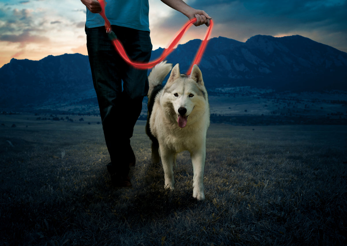 Nite Ize NiteDog® Rechargeable LED Leash - Red/Red LED