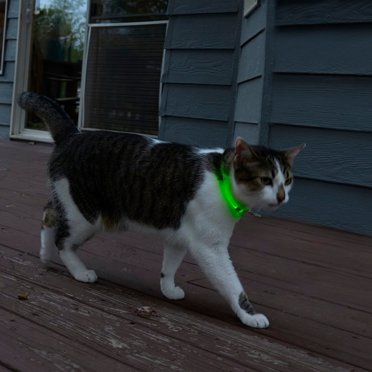 Nite Ize NiteMeow™ Rechargeable LED Safety Necklace - Disc-O Select™
