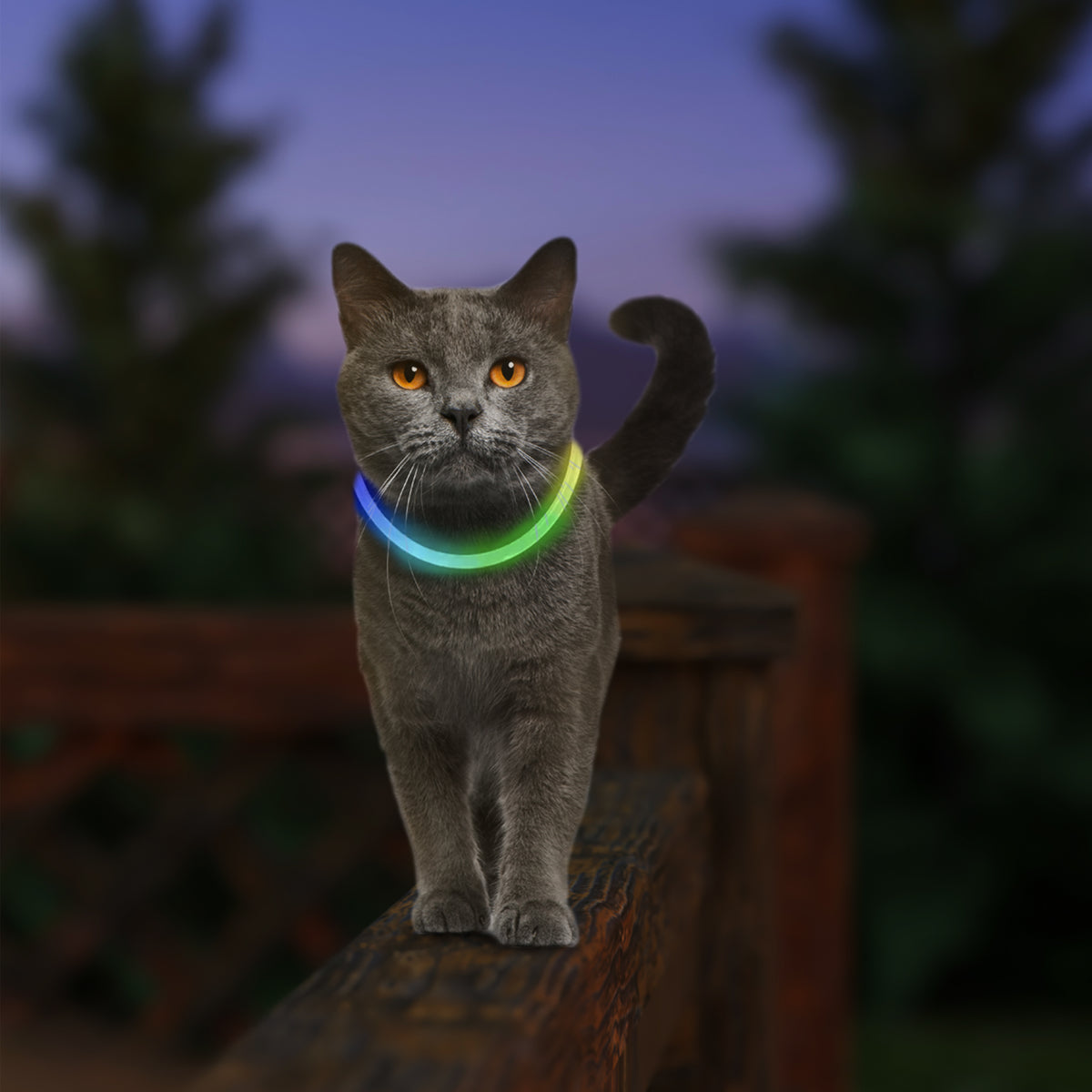 Nite Ize NiteMeow™ Rechargeable LED Safety Necklace - Disc-O Select™