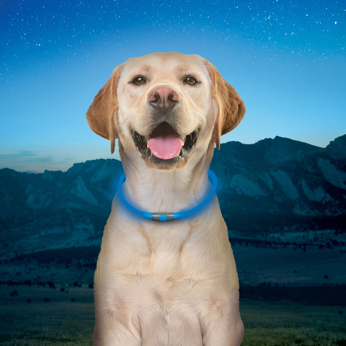 Nite Ize NiteHowl® Rechargeable LED Safety Necklace - Blue