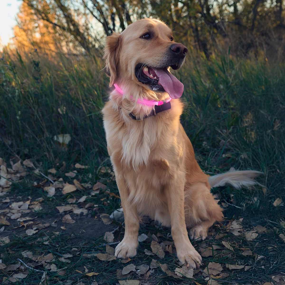 Nite Ize NiteHowl® Rechargeable LED Safety Necklace - Tie Dye Pink