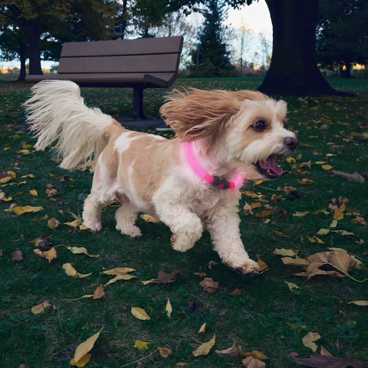 Nite Ize NiteHowl® Rechargeable LED Safety Necklace - Tie Dye Pink